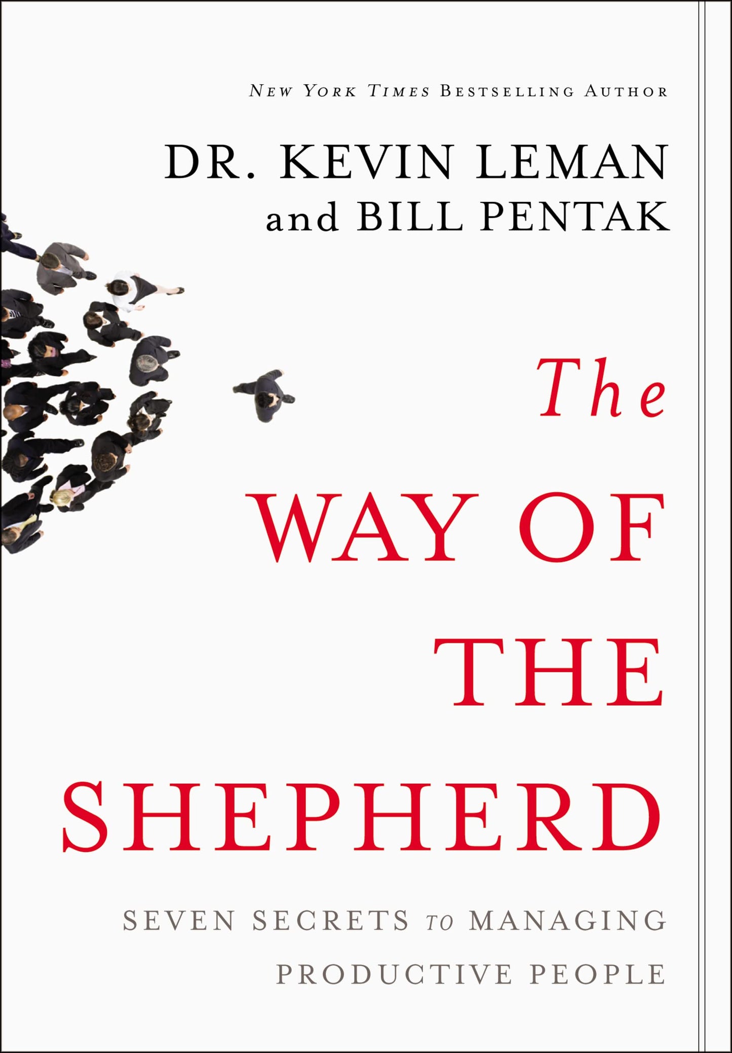 The Way of The Shepherd - 5 Minute PDF + BONUS Audio Summary